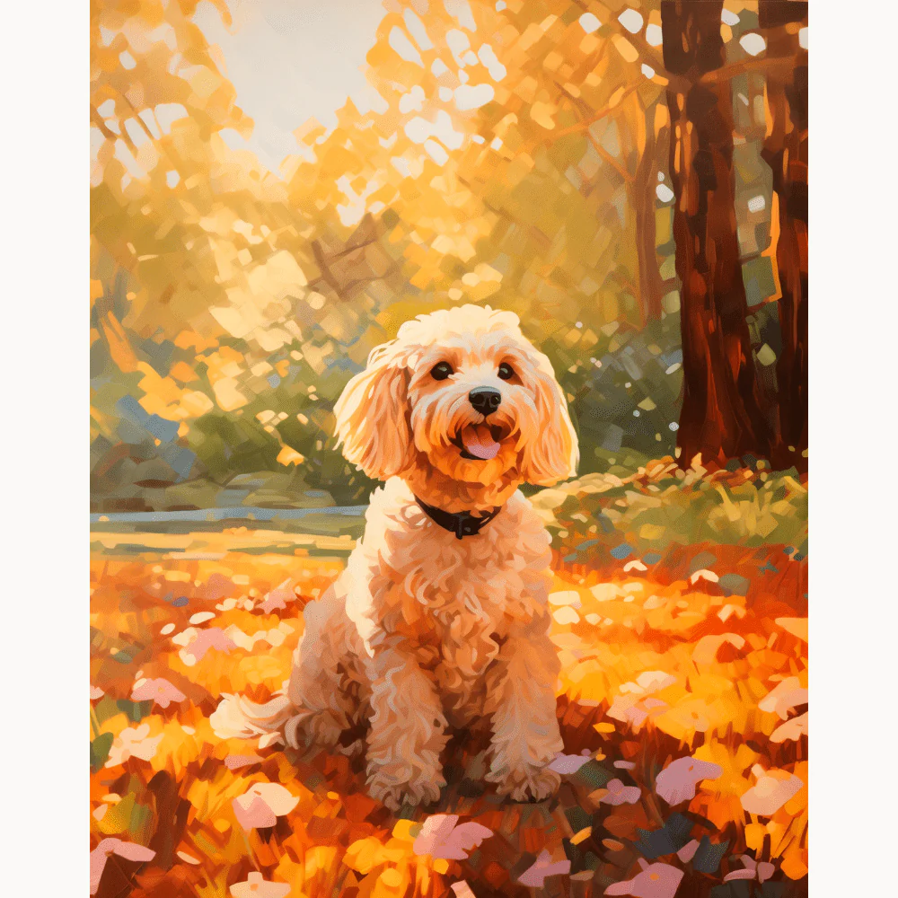 Cockapoo at the Park - Image 2