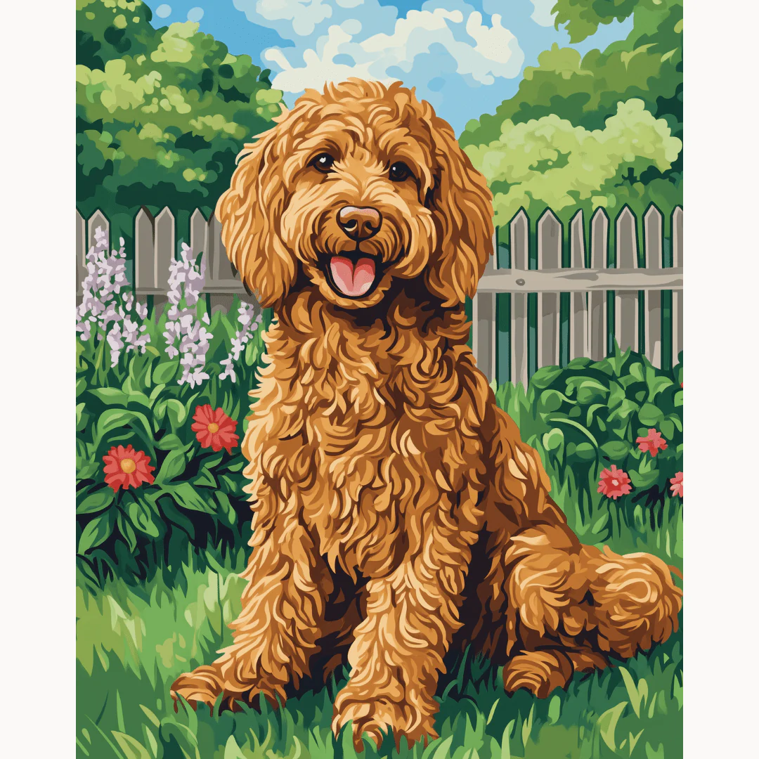 Goldendoodle - Image 2