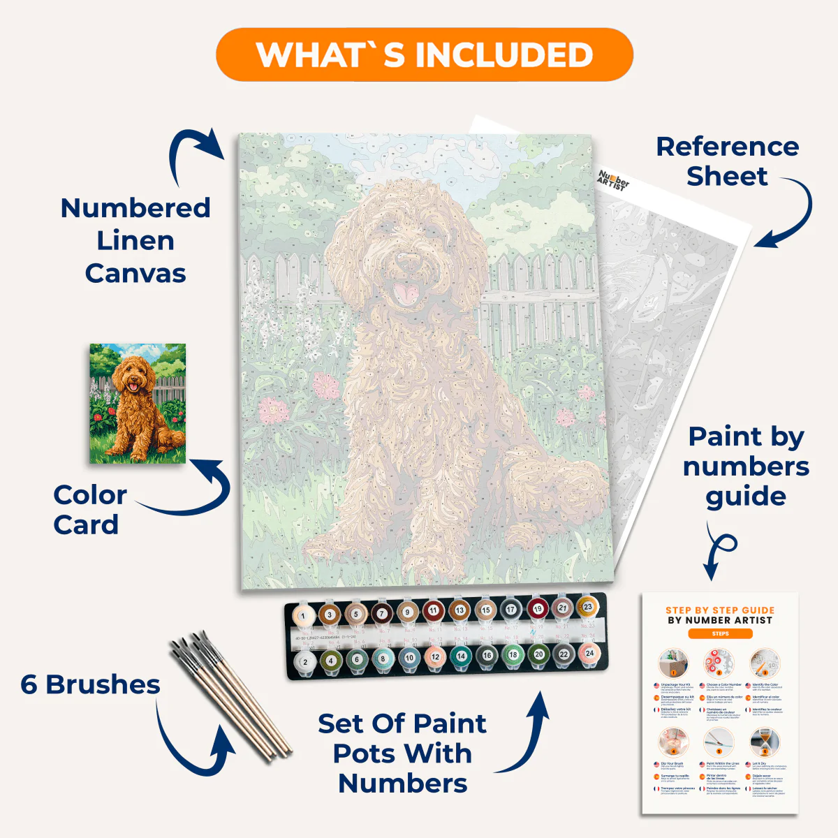 Goldendoodle - Image 3