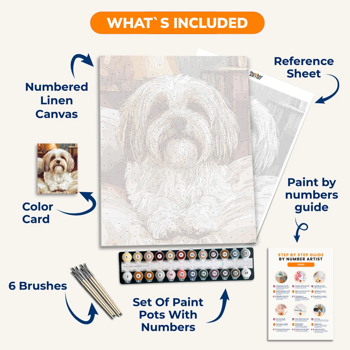 Havanese Dog - Image 3