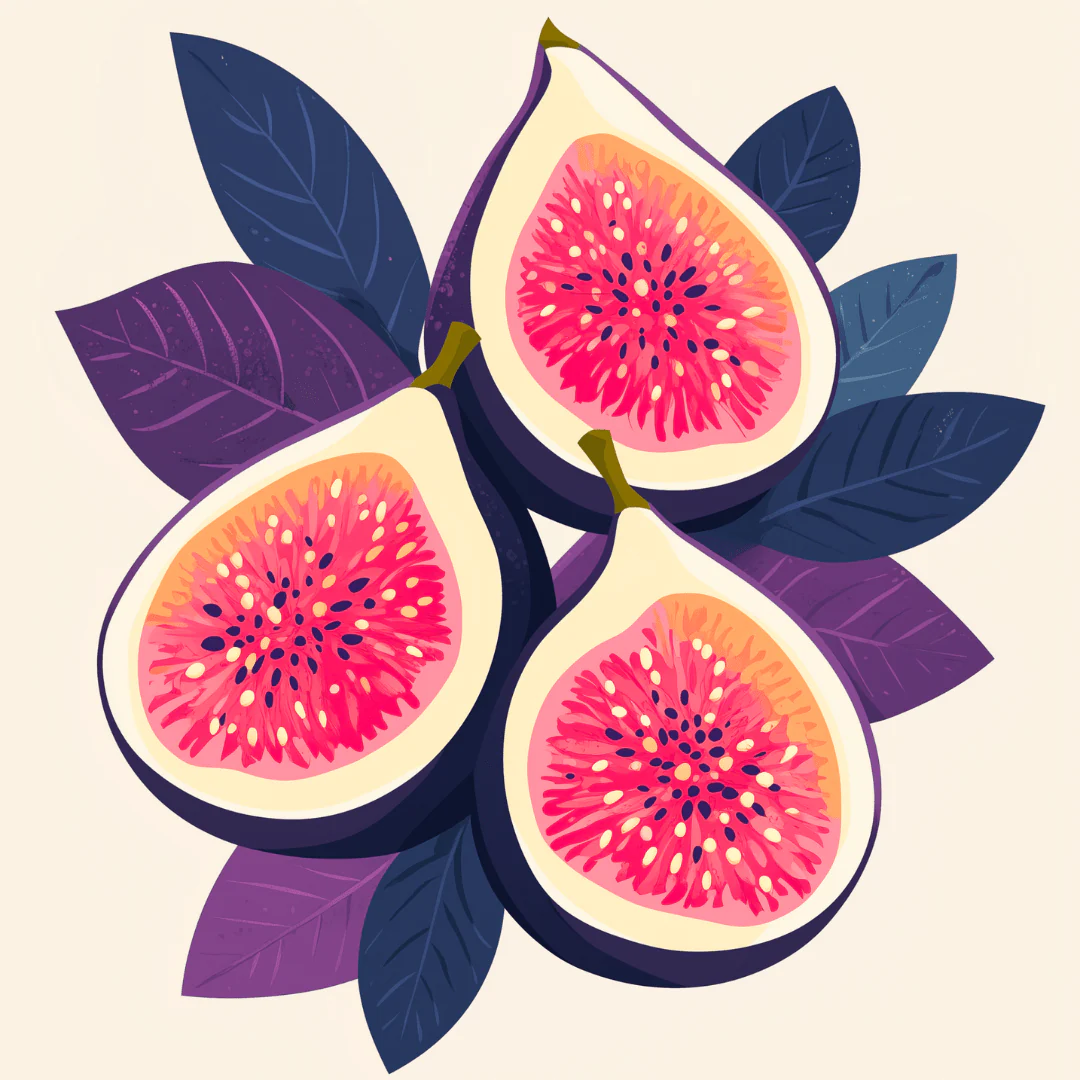Seaside Figs - Image 2