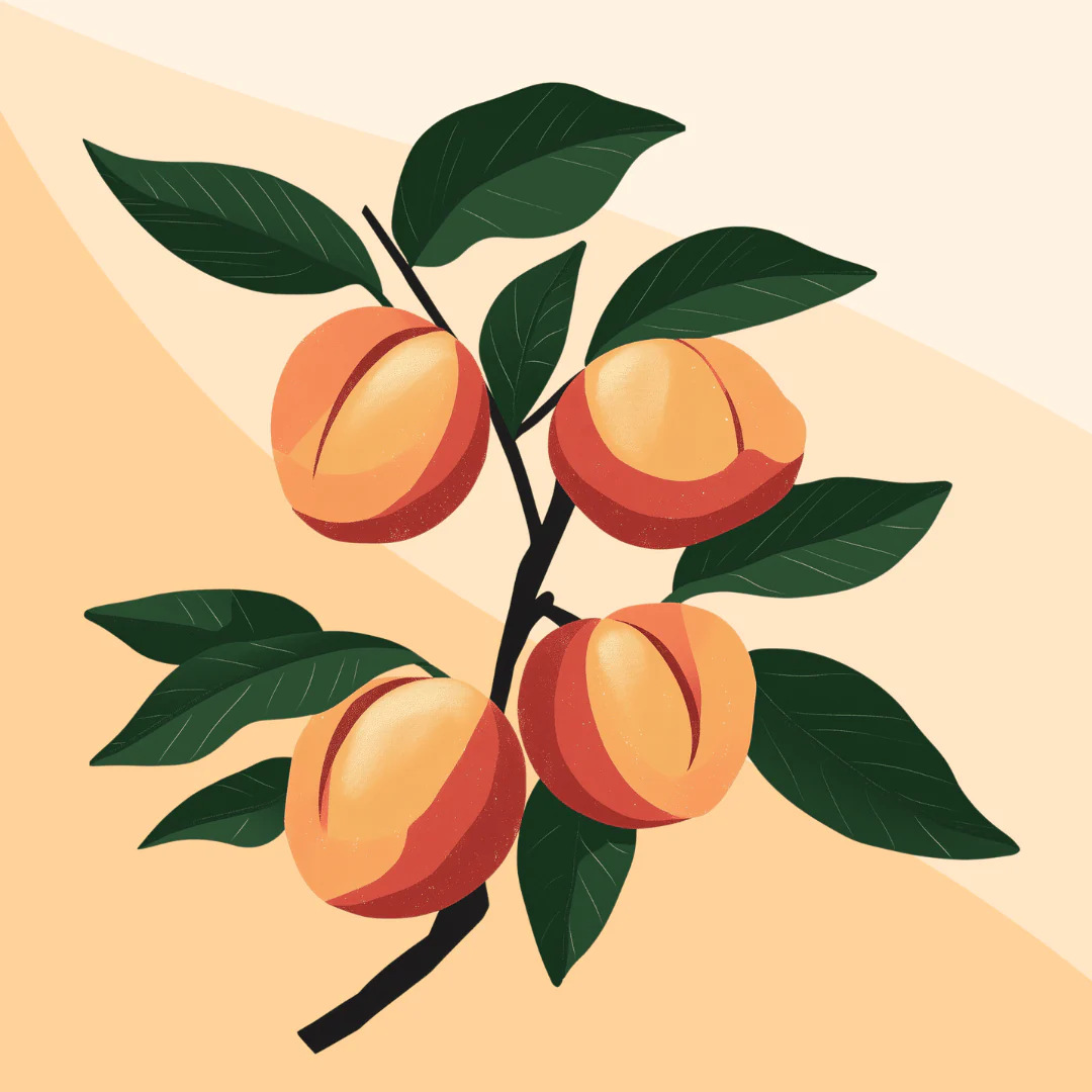 Sweet Peaches - Image 2