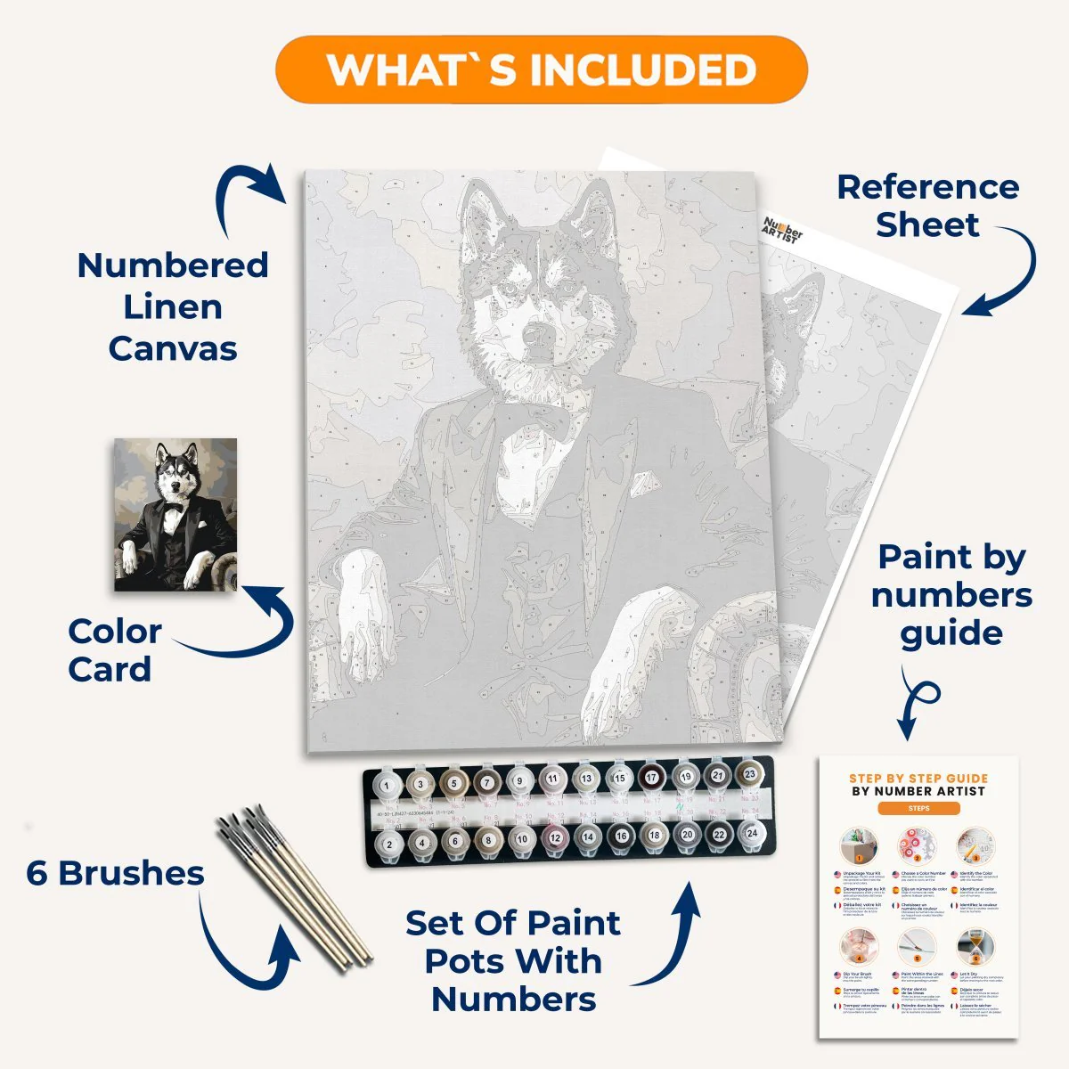 Tuxedo Husky - Image 3